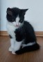 Käthe (2)